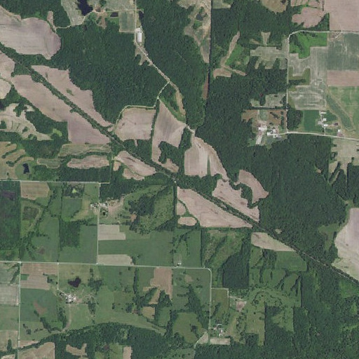 Aerial imagery of Jordan Branch, MO