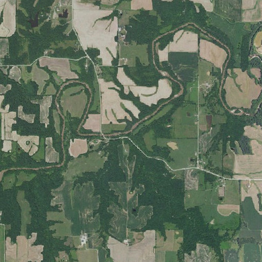 Aerial imagery of Keller Branch, MO