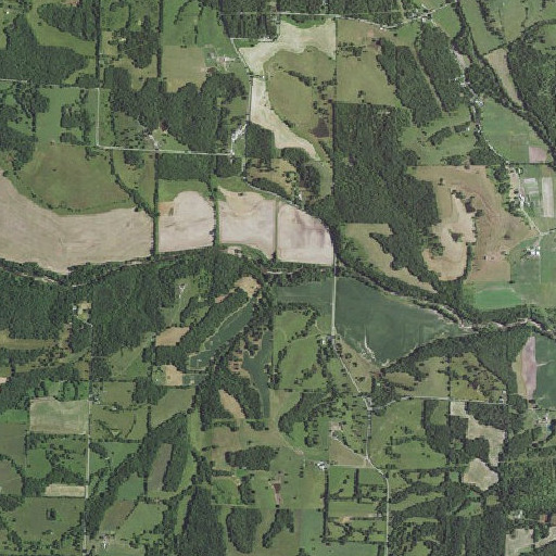 Aerial imagery of Kelley Branch, MO