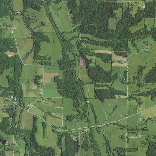 Aerial imagery of Kindrick Branch, MO