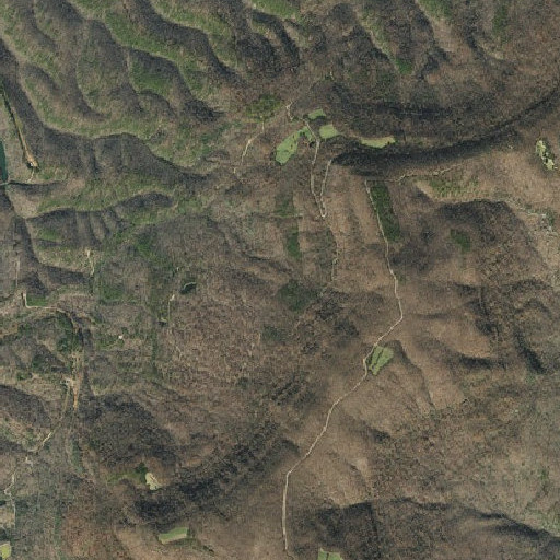 Aerial imagery of Horn Bench, AR