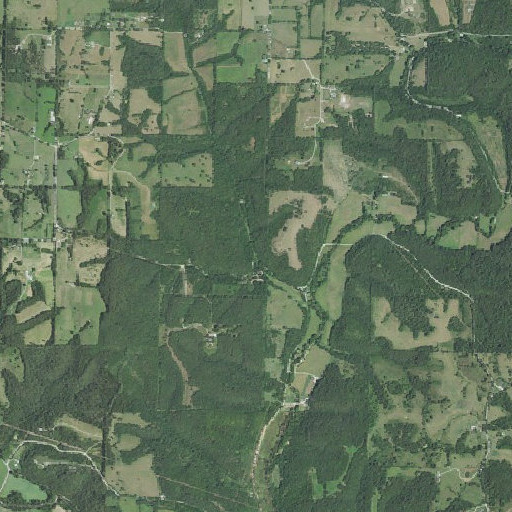 Aerial imagery of Lane Spring, MO