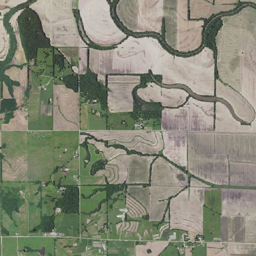 Aerial imagery of Mann School, MO