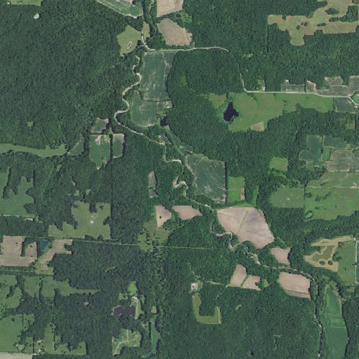 Aerial imagery of McDowell Branch, MO