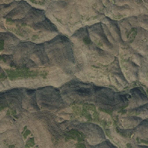 Aerial imagery of Left Hand Prong, AR