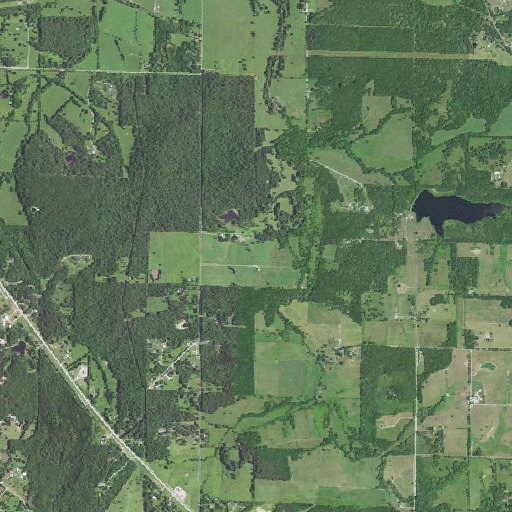 Aerial imagery of Pace Cemetery, MO