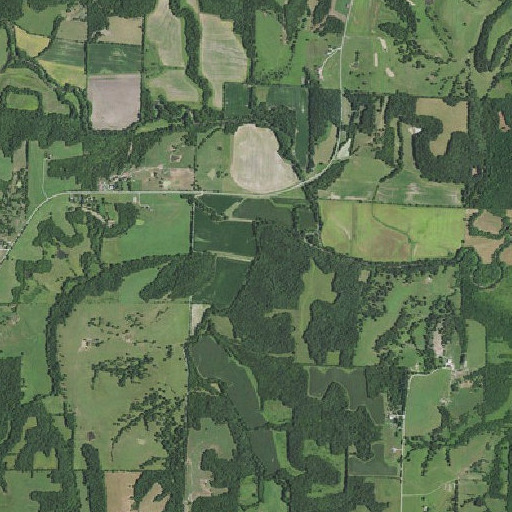 Aerial imagery of Painter Branch, MO