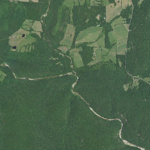 Aerial imagery of Patterson Branch, MO