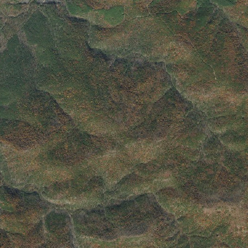 Aerial imagery of Locust Mountain, AR