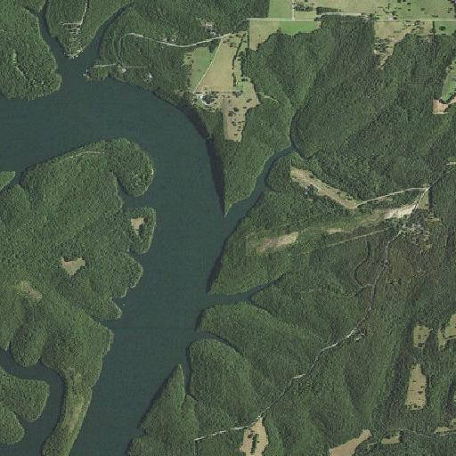 Aerial imagery of Piney Creek, MO