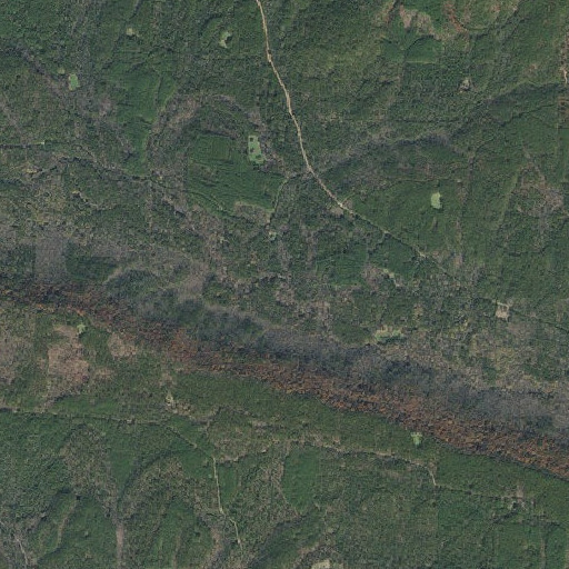 Aerial imagery of Long Branch, AR