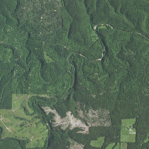 Aerial imagery of Pond Spring Branch, MO