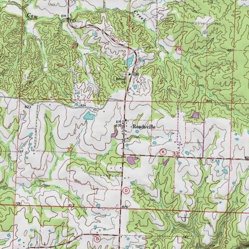 USGS 24K topo map of Readsville, MO