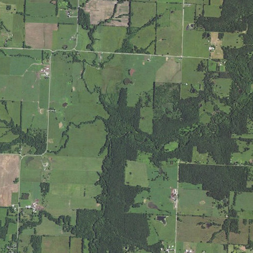 Aerial imagery of Ring Branch, MO