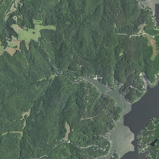 Aerial imagery of Rise Branch, MO