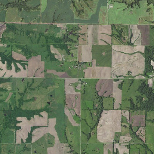 Aerial imagery of Risser School, MO