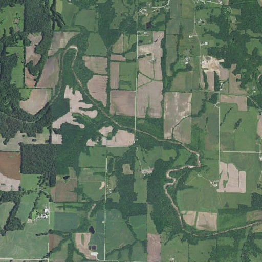 Aerial imagery of Uncle Sammys Spring, MO