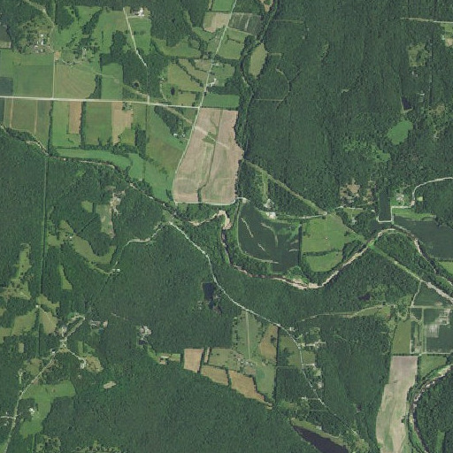 Aerial imagery of Williams Creek, MO