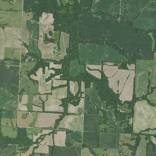 Aerial imagery of Beaverdam Creek, MO