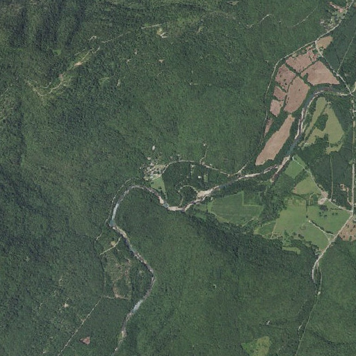 Aerial imagery of Perry Branch, AR