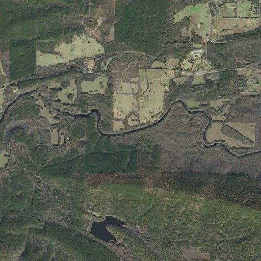 Aerial imagery of Phipps Branch, AR