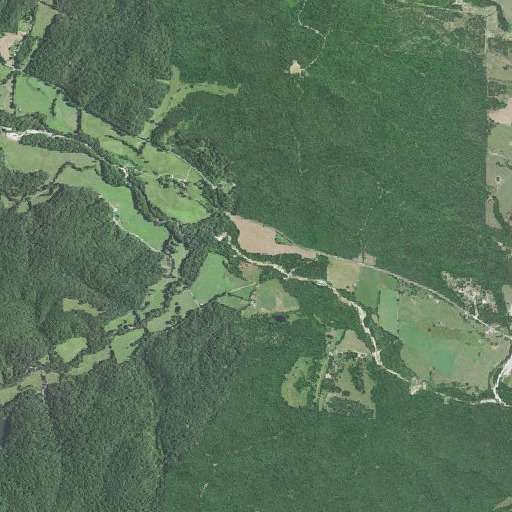 Aerial imagery of Vinson Branch, MO