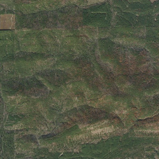 Aerial imagery of Powell Mountain, AR