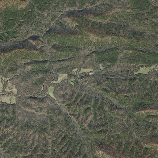 Aerial imagery of Rough Creek, AR