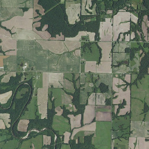 Aerial imagery of Beatley School, MO