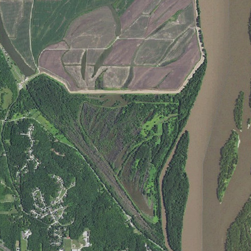Aerial imagery of Murphy Island, MO