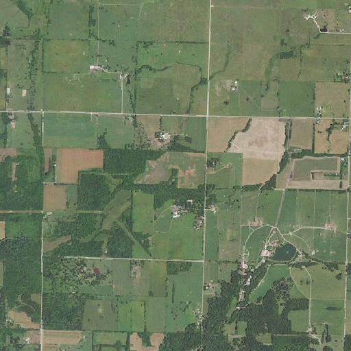 Aerial imagery of Williams Spring, MO