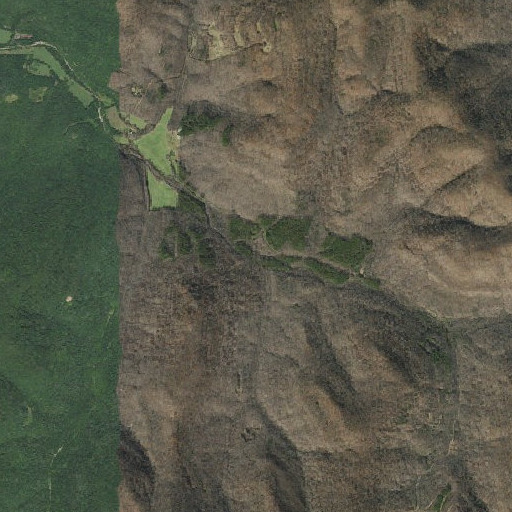Aerial imagery of Snow Branch, AR