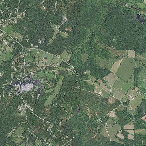 Aerial imagery of Clancy Branch, MO