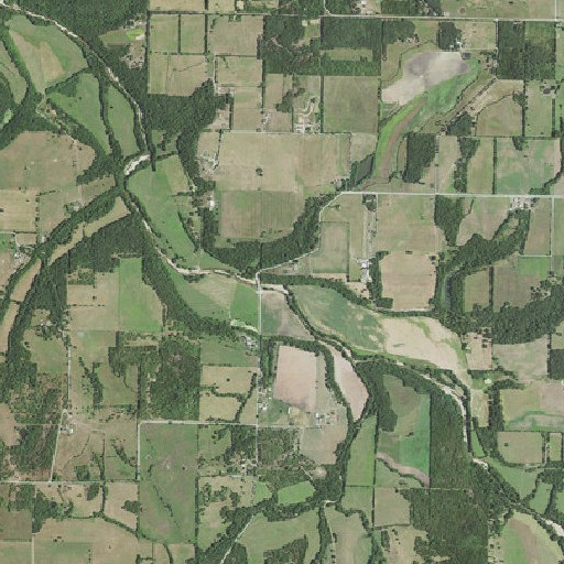 Aerial imagery of Marlin Branch, MO