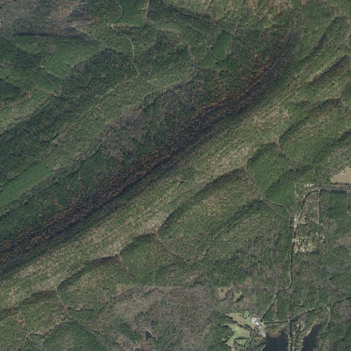 Aerial imagery of Walker Mountain, AR