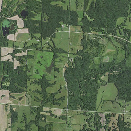 Aerial imagery of Trade, MO