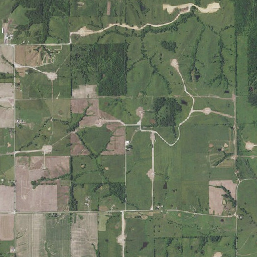 Aerial imagery of Blacks School (historical), MO