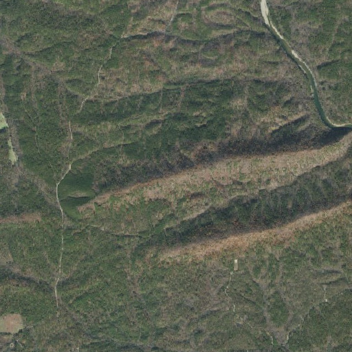 Aerial imagery of Wolf Mountain, AR