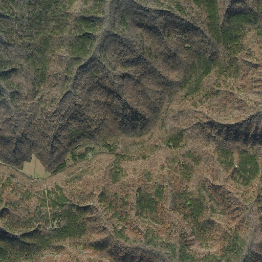 Aerial imagery of Woods Mountain, AR