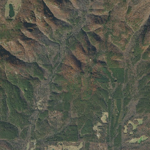 Aerial imagery of Youngs Point, AR