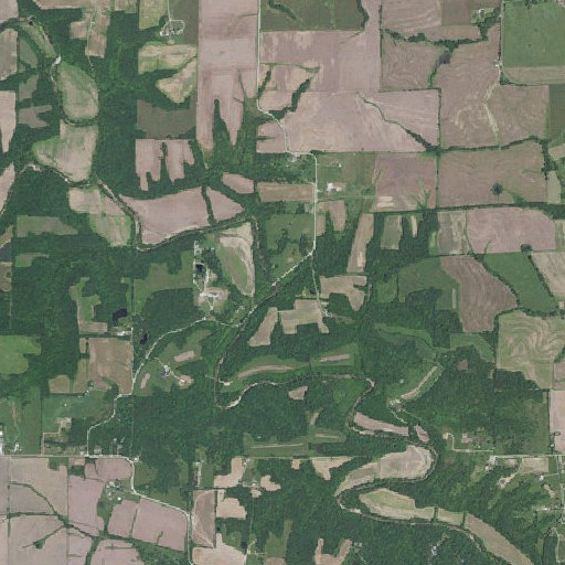 Aerial imagery of Barnable School (historical), MO