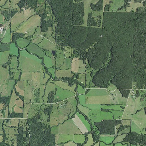 Aerial imagery of Turner School, MO