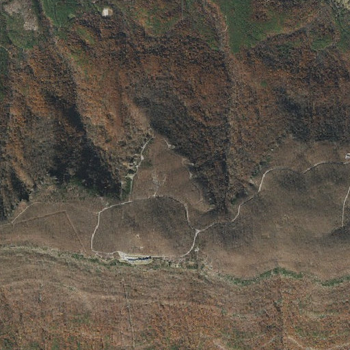 Aerial imagery of Cameron Bluff, AR