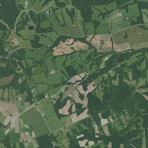 Aerial imagery of Fagg School (historical), MO