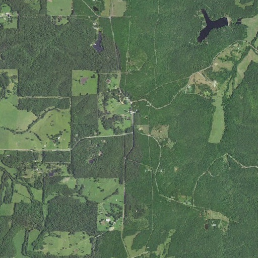 Aerial imagery of Smith Mine, MO