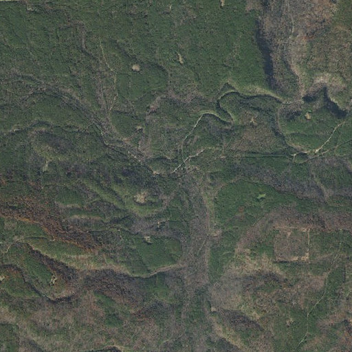Aerial imagery of Millard, AR