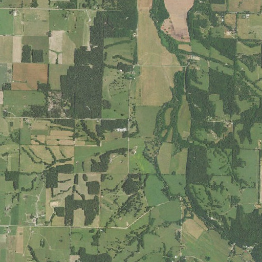 Aerial imagery of Lee School (historical), MO
