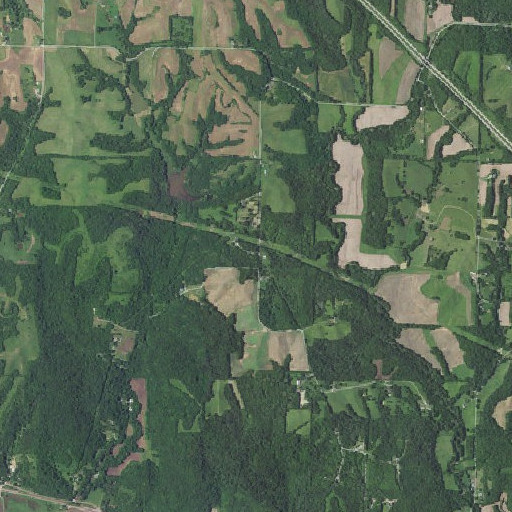 Aerial imagery of Whiteoak School, MO