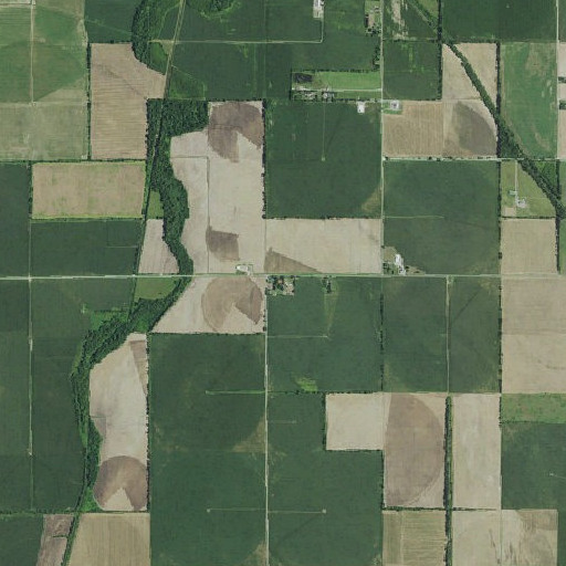 Aerial imagery of Bridges School, MO