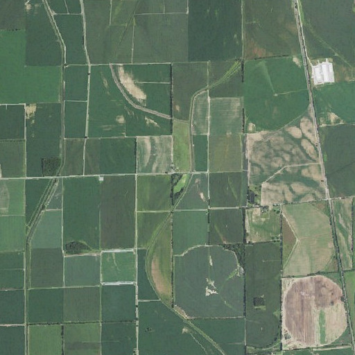 Aerial imagery of Bugg School, MO